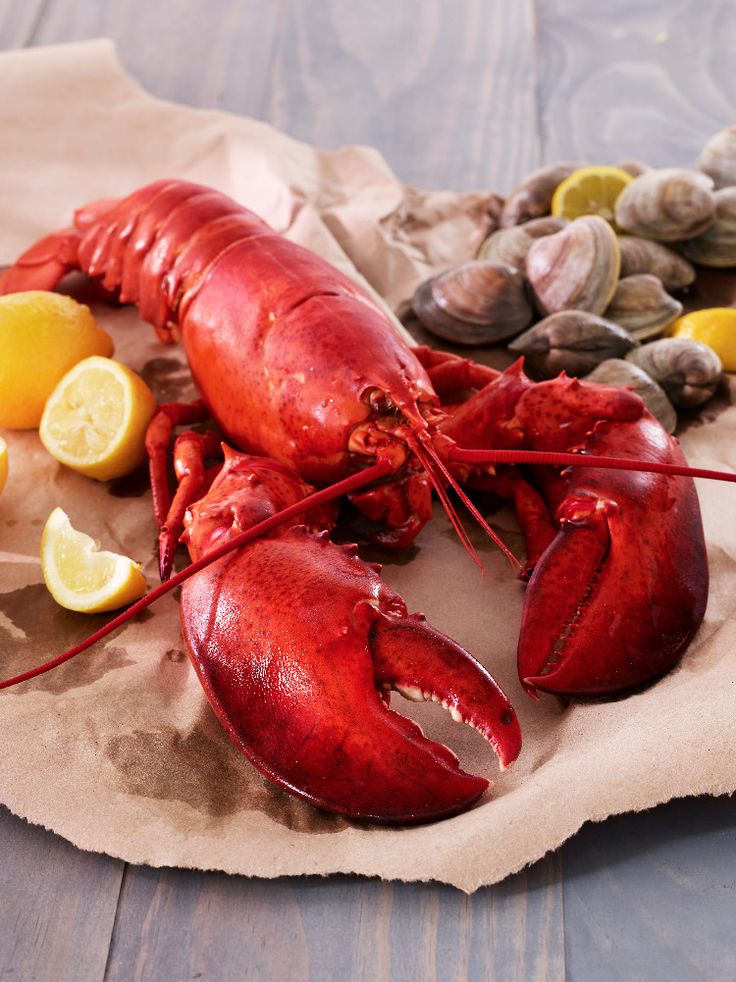 Lobster